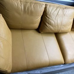 Rare Non Hydro Carbon Produced Couch
