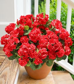 Artificial Geraniums Fake Flowers for Outdoors Decoration, 6 Bundles Silk Geraniums Red Flower UV Resistant Look Real Faux Plants for Front Door Garde