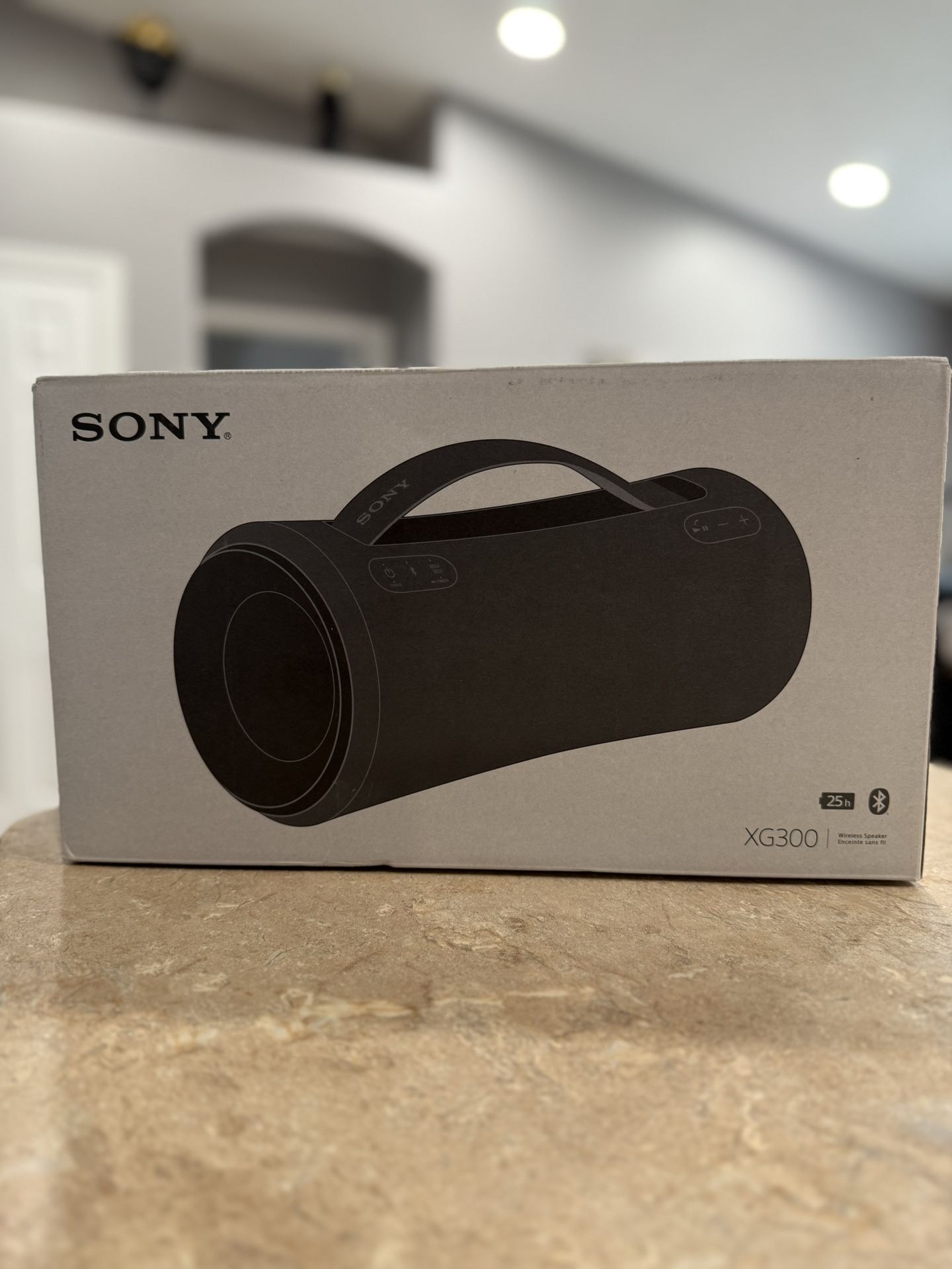 Sony XG300 Speaker