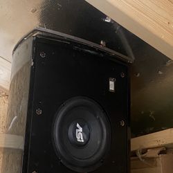Speaker 