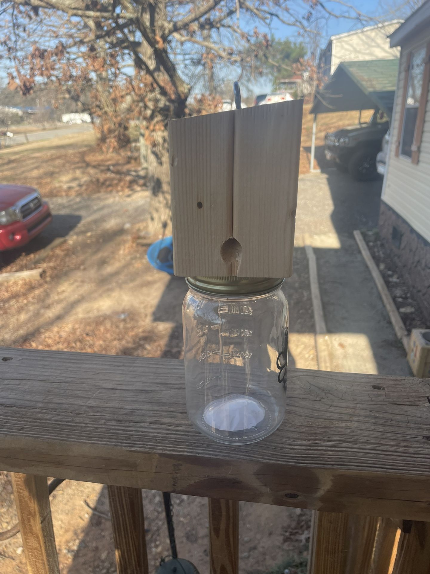 Carpenter bee trap