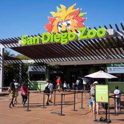 4 San Diego Zoo tickets $35 each 