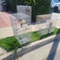 Bird Cages
