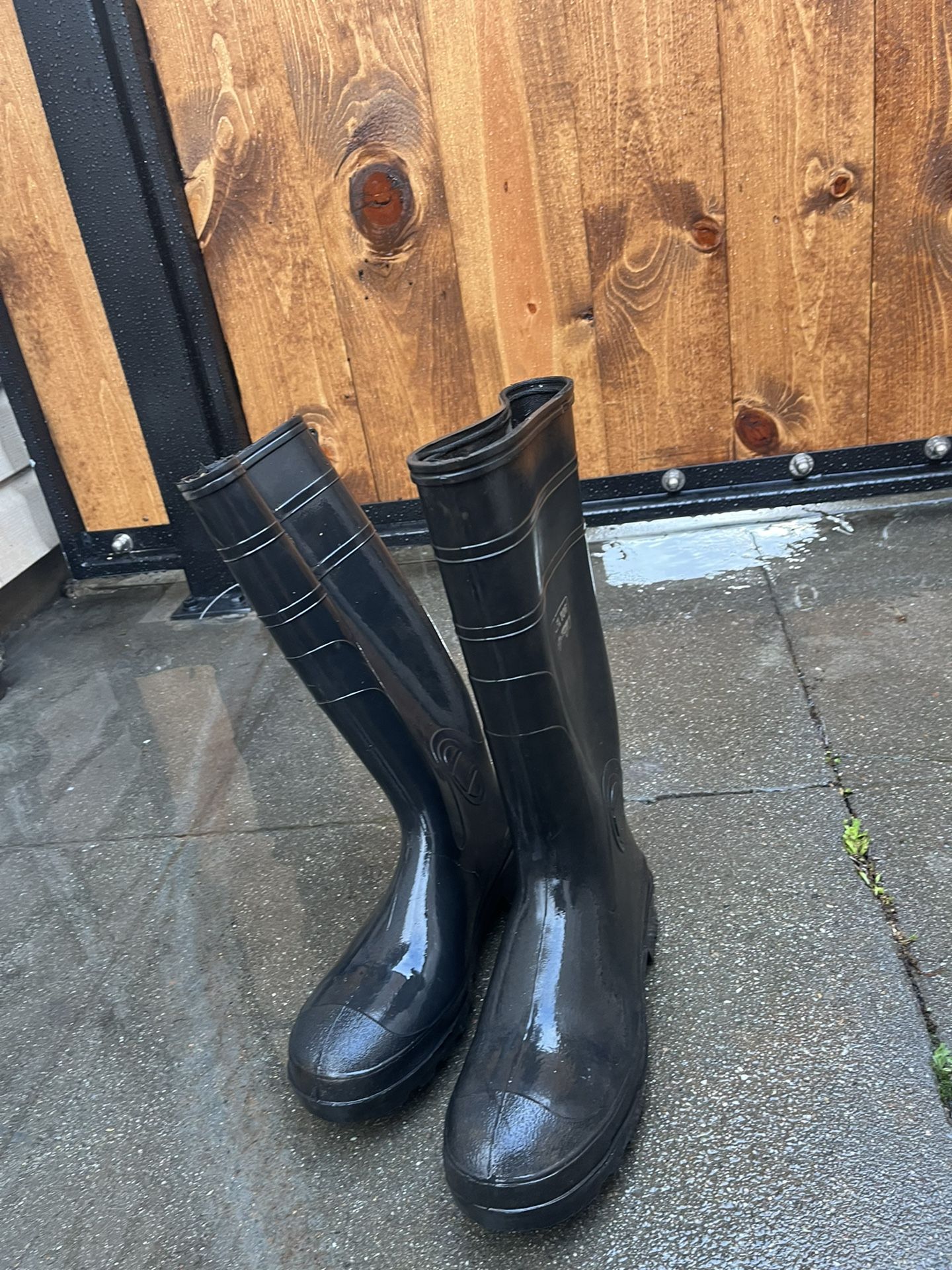 Rubber Boots /steel Toe