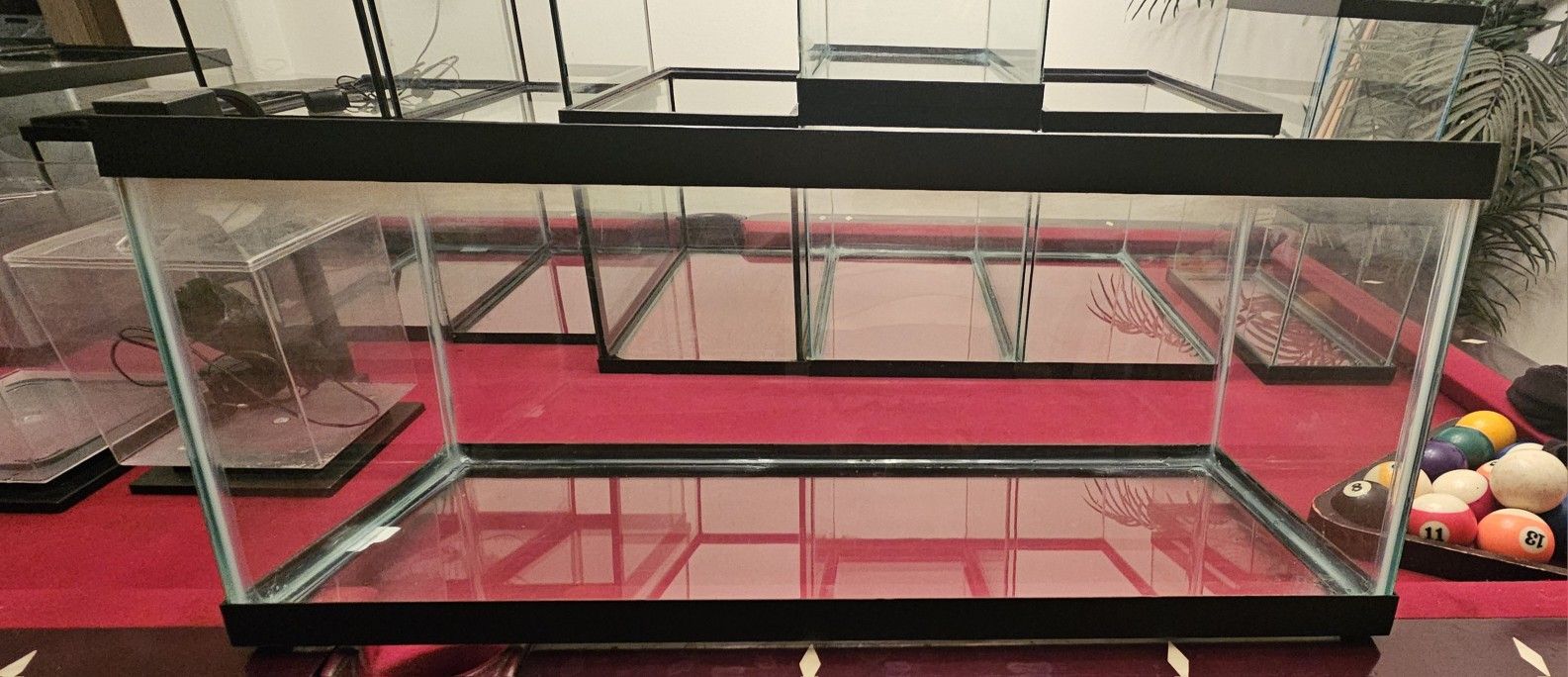 20-Gallon Fish Tank With Lid - Excellent Condition!