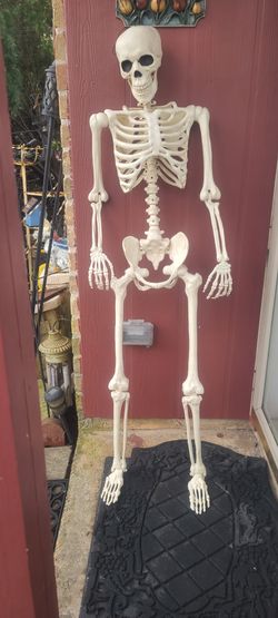 SKELETON  (PLASTIC)  5 FT.