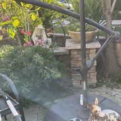 Freeeeeee Large Umbrella Broken For Parts