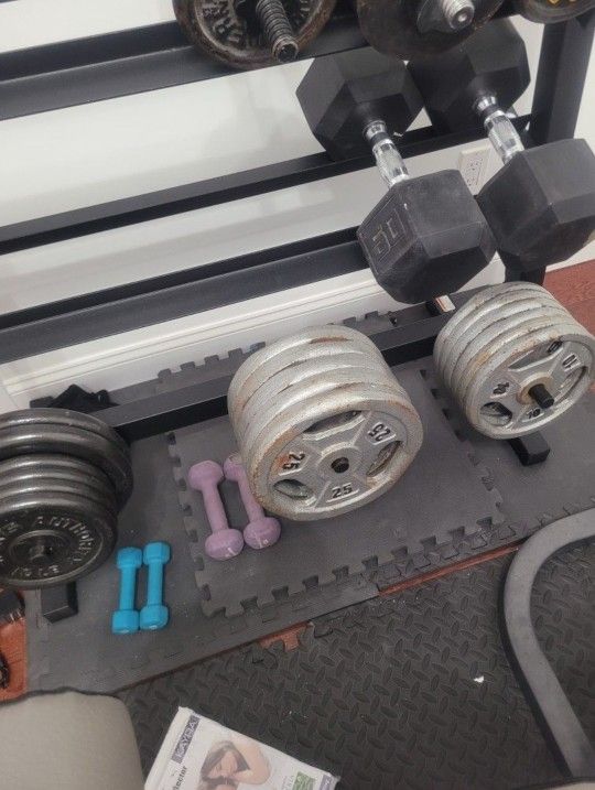 Weight Plate/ Barbell Weights