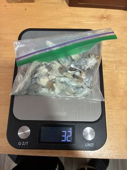 🍄