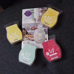 Scentsy Bar Spring/Summer Bundle - NEW!