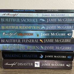 Beautiful Disaster Series & The Maddox Brothers