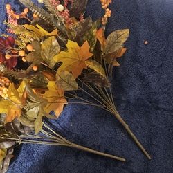 Fall Flowers