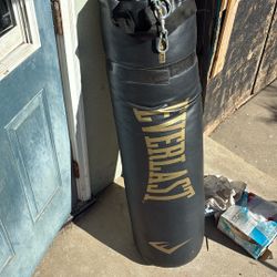 Everlast Heavy Bag 