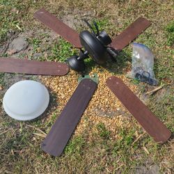 Beautiful Large Room Ceiling fan 