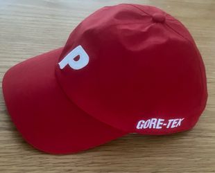 Palace X Gore-Tex “P” 6-Panel Hat