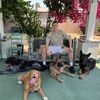 BarksNBargains