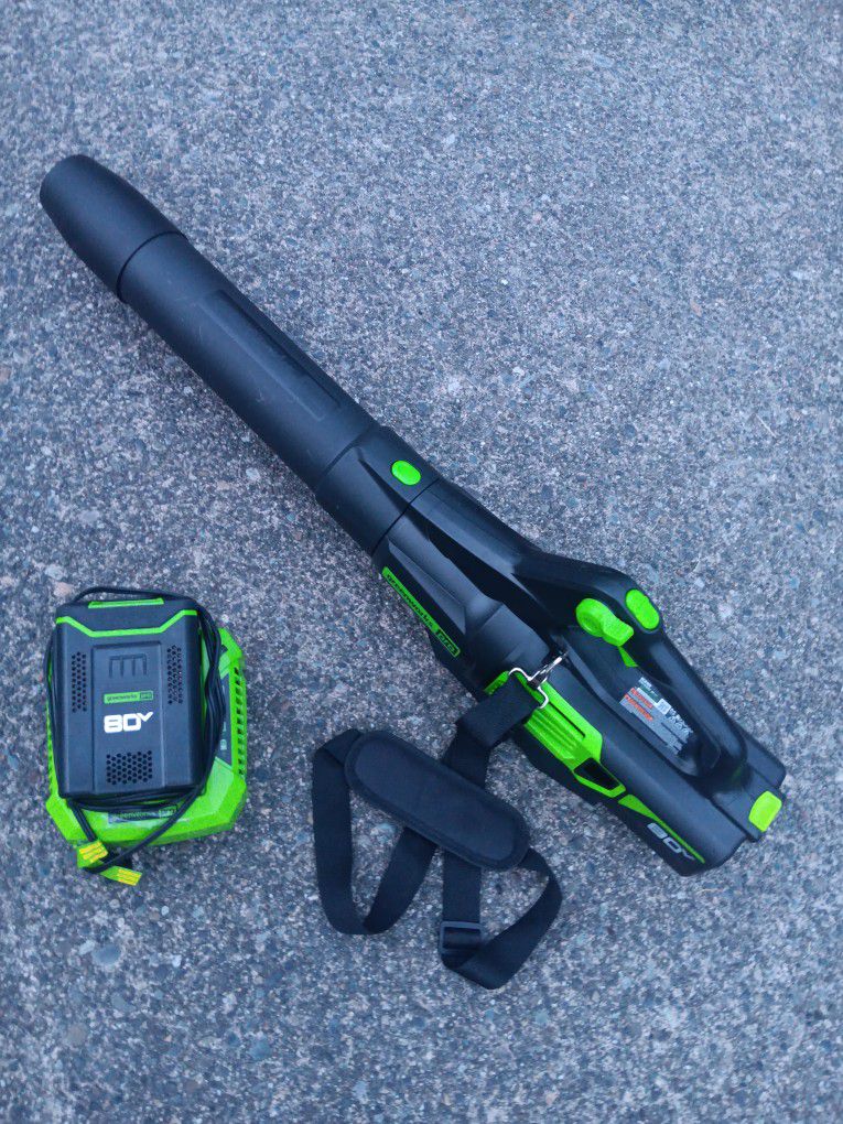 Greenworks BLB489 80volt 730cfm 170mph Leaf Blower 2.5amp Battery & Charger Almost New Condition. For Pick Up Fremont Seattle. No Low Ball Offers. No 