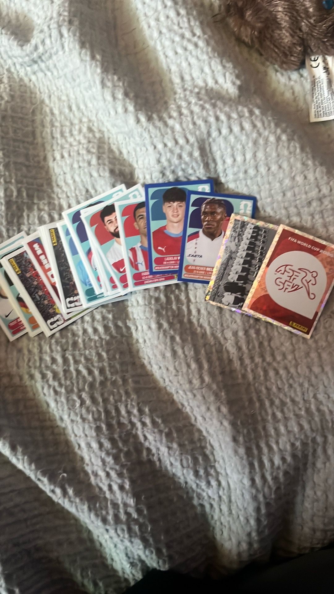 Panini World Cup Stickers