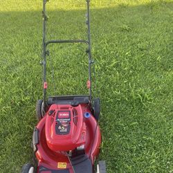 Lawnmower (Toro)
