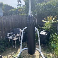Punching Bag