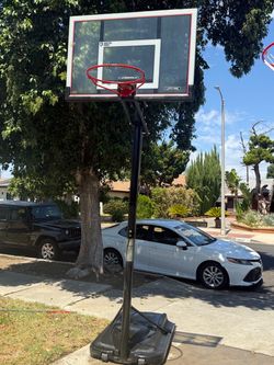Lifetime Portable Basketball Hoop