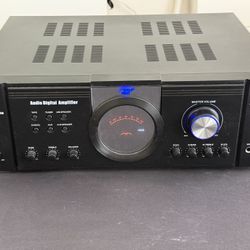 1000w Amplifier- Pile PT1100