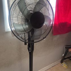 Fan
