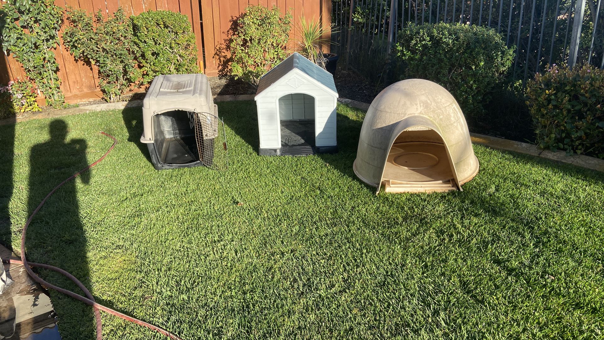 Dog Houses
