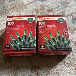 100 Mini Light 