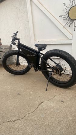 48v fat tire E-Bike