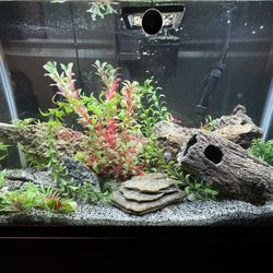Fish tank 