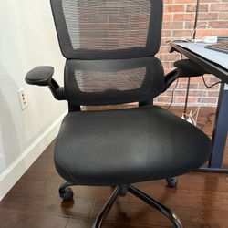 Office mesh chair with lumbar support