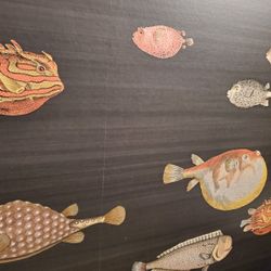 Blow your friends away with this fish wallpaper 