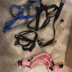 4 Small Dog/Puppy Harnesses/1 M Collar/1 Cat Collar W/ Bell