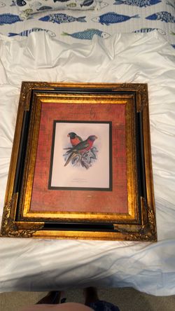 Framed Parrot Bird Print Wall Art