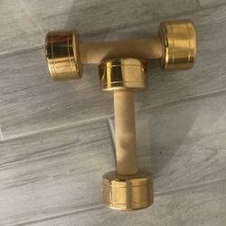 Golden 10 Pound Weights