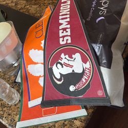 D-1 University College Pennants 