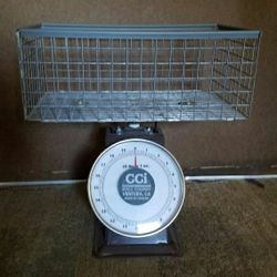 CCI Spring Dial Platform 20 lb