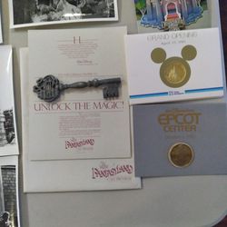 Disney Fantasy Land Cast Premiere Key And Memorabilia 