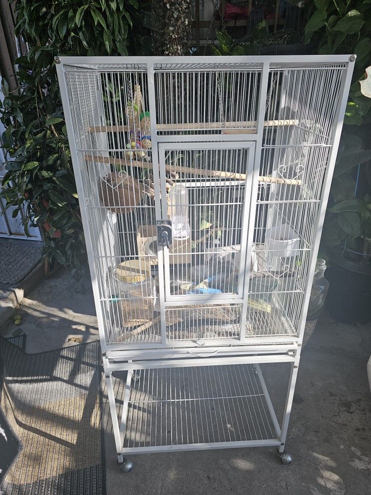 Bird Cage