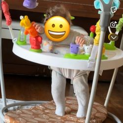 Smart Steps Jumper Playground