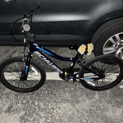 20 Inch Swhinn Bike