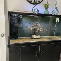 80 Gallon Fish Tank