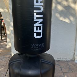 Century wave master Punching Bag