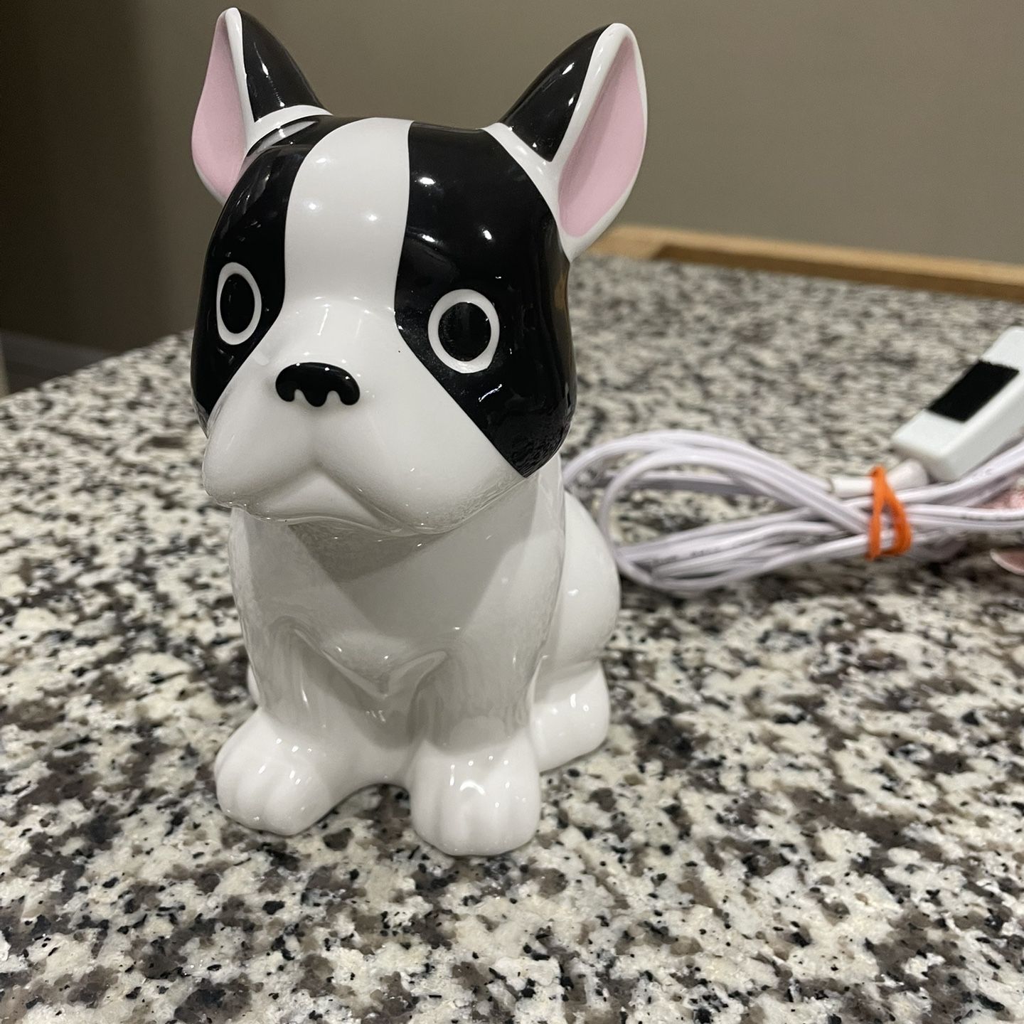 Image #1