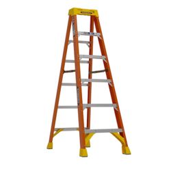 Professional 6’ Ladder
