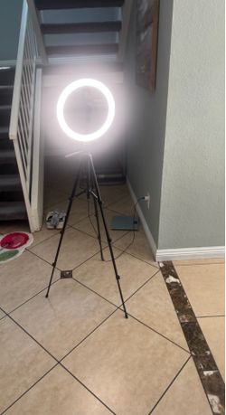 Circle Lamp