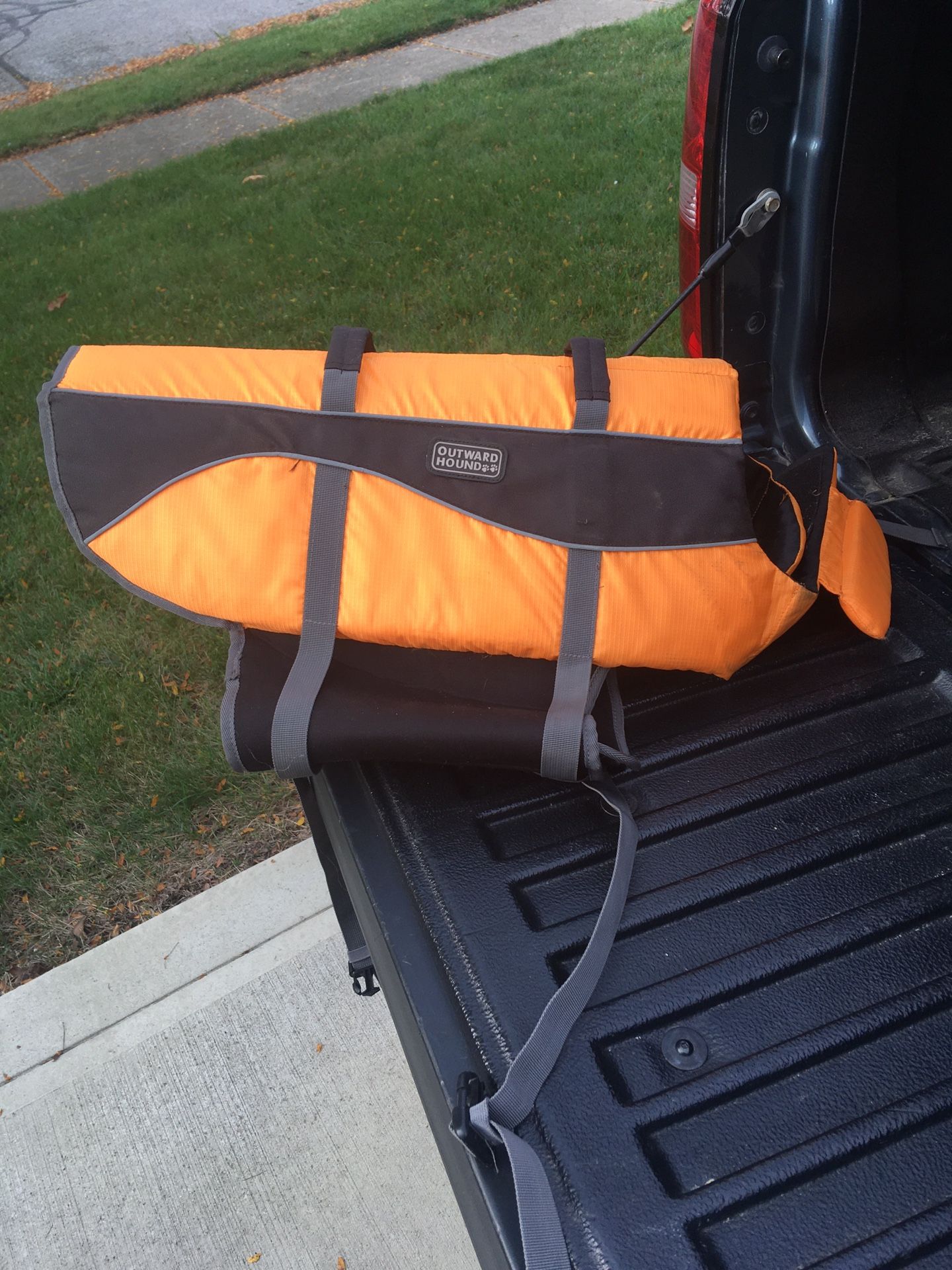 Xl Dog Lifejacket 