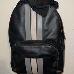 Designer Backpack 