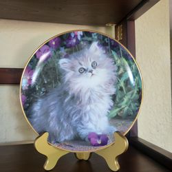 Collector Plate Persian Cat (Kitten)